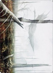 Art Series (64/81) - Swamp